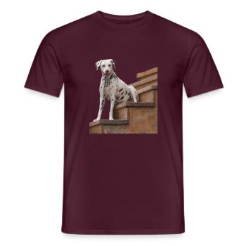 Chien dalmatien sur un escalier, drôle de regard - T-shirt homme - rouge brique - Devant - AI Model Male 178 light (178cm)