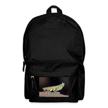 Creobroter cf nebulosus - Flower mantis - Rucksack - Schwarz - Vorne