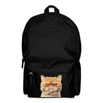 Portrait du Chat Roux Gringy Studio - Sac à dos - noir - Devant
