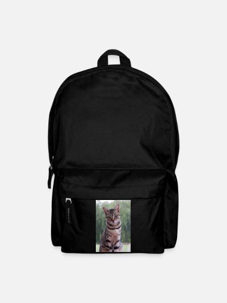 Katze Kätzchen - Rucksack - Schwarz