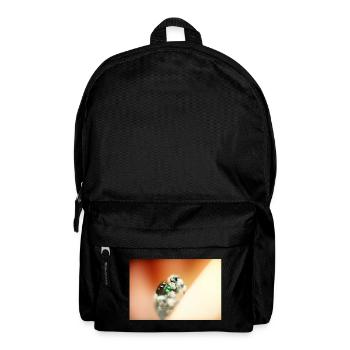 Springspinne, Phidippus regius,jumping spider - Backpack - black - Front