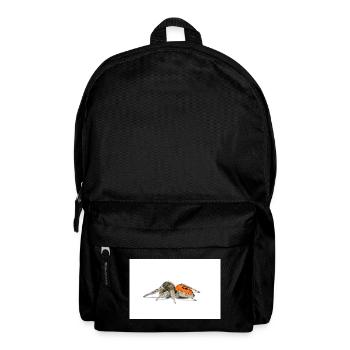 Springspinne Phidippus texanus jumping spider - Backpack - black - Front