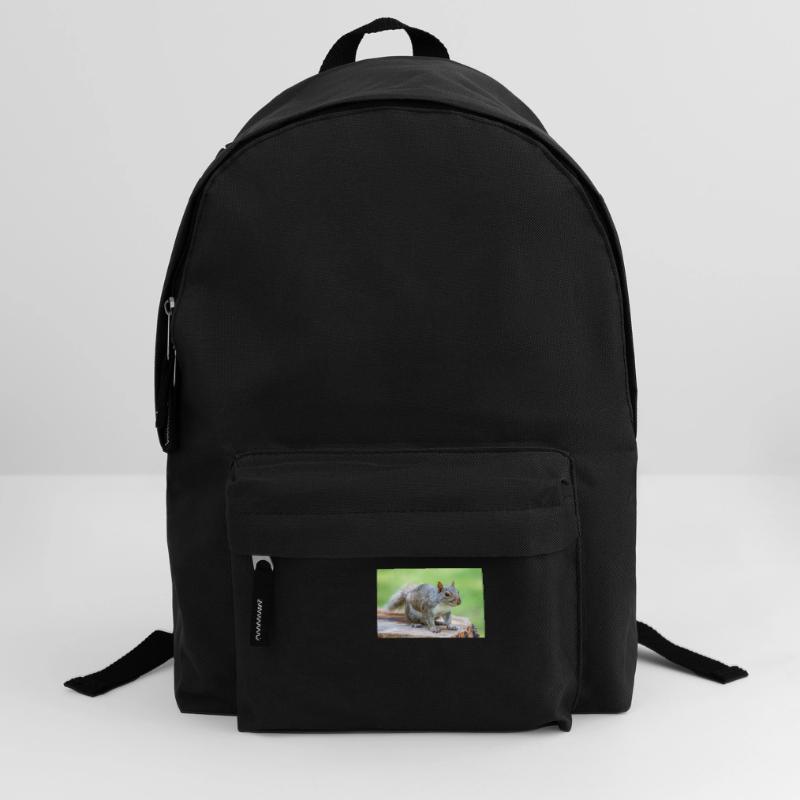 Grey squirrel Grauhörnchen Sciurus carolinensis Backpack