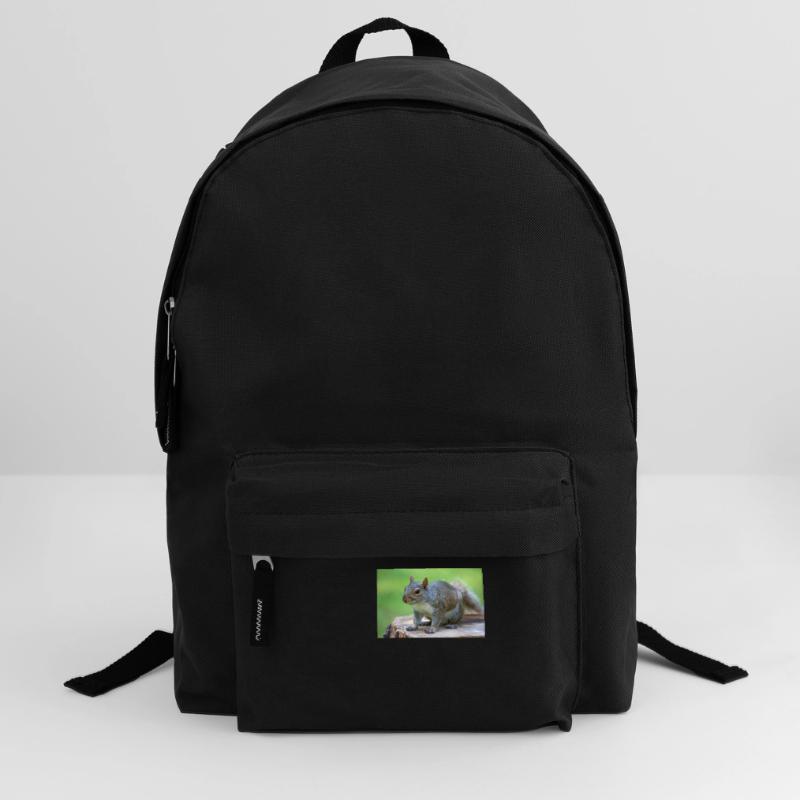 Grey squirrel Grauhörnchen Sciurus carolinensis Backpack