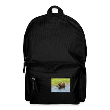 Landscape in Chobe National Park on Sedudu Island - Backpack - black - Front