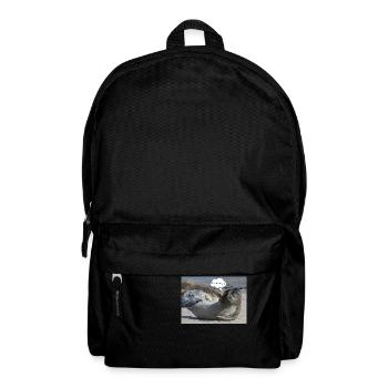 Robbe - Rucksack - Schwarz - Vorne