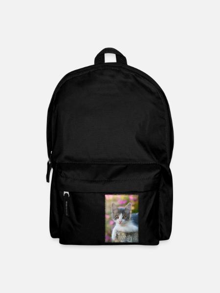 Niedliches grau weißes junges Kätzchen - Rucksack - Schwarz