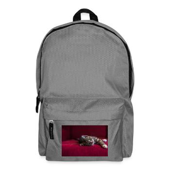 Cute tabby baby cat, lying, photography - Backpack - elephant grey - Front