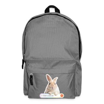 NOAI-Katze - Rucksack - Mittelgrau - Vorne