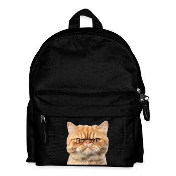 Grumpy Ginger Cat Studio Portrait - Kids' Backpack - black - Front