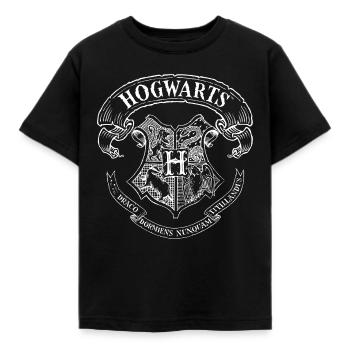 Harry Potter Hogwarts Wappen Zeichnung - Kinder T-Shirt - Schwarz - Vorne - AI Model Kid Female (0cm)