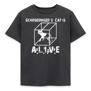 Le chat de Schrödinger - Big Bang Cat Schrödinger - T-shirt Enfant - charbon - Devant - AI Model Kid Female (0cm)