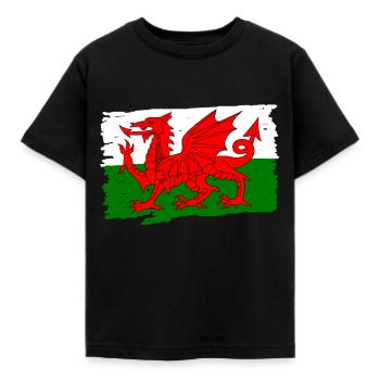 Wales Flag - Kids' T-Shirt - black - Front - AI Model Kid Female (0cm)