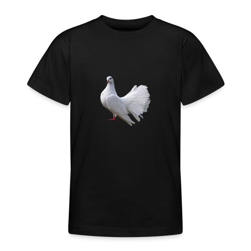 Taube Brieftaube Friedenstaube Vogel - Teenager T-Shirt