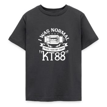 Normal up to the first KT88 vacuum tube - Teenage T-Shirt - dark grey - Front - AI Model Teenager Male light (155cm)