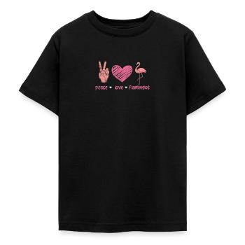 Flamant - T-shirt Ado - noir - Devant - AI Model Teenager Male light (155cm)