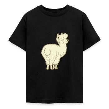 Alpaga alpaga - T-shirt Ado - noir - Devant - AI Model Teenager Male light (155cm)