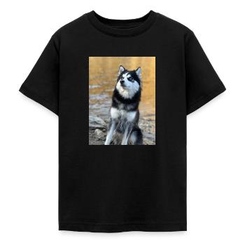 Husky - Teenager T-Shirt - Schwarz - Vorne - AI Model Teenager Male light (155cm)