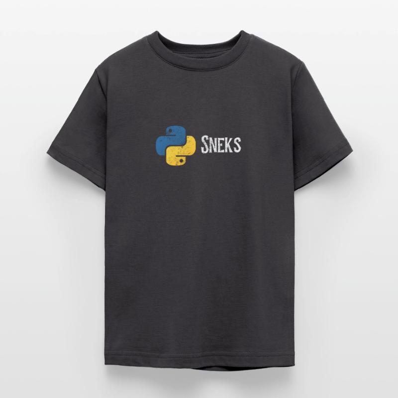 Funny Python Programmer Programming Distressed Teenage T-Shirt