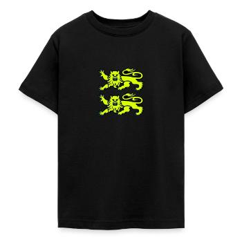 leopards normand logo drapeau 2701 - T-shirt Ado - noir - Devant - AI Model Teenager Male light (155cm)