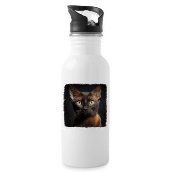 Burmese Cat Burma Katze - Water bottle with straw - white - Right