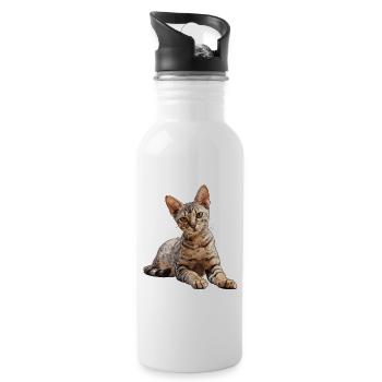 Egyptian Mau Kitten Cat Egyptian Mau - Water bottle with straw - white - Right