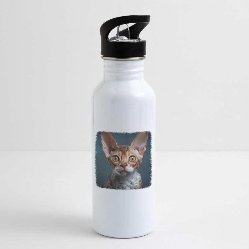 Chaton Devon Rex Chat Devon Rex Gourde avec paille intégrée
