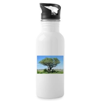 Majestic sausage tree in natural habitat - Water bottle with straw - white - Right