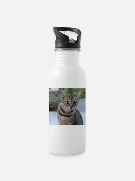 Katze Kätzchen Poster quadratisch Katzenposter - Trinkflasche mit integriertem Trinkhalm - Weiß