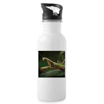 Gottesanbeterin Makro  Elegante Fangschrecke - Trinkflasche mit integriertem Trinkhalm - Weiß - Rechts