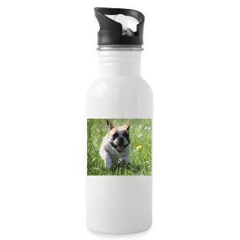 Allez Bully Go Français Bulldog - Gourde avec paille intégrée - blanc - Droite
