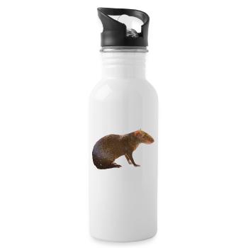 Agouti 4 - Water bottle with straw - white - Right