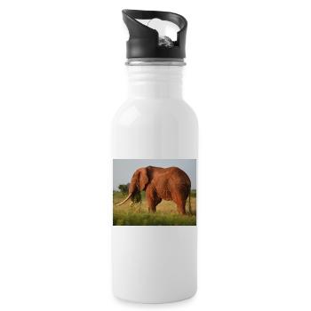 Elephant on Savannah - Water bottle with straw - white - Right