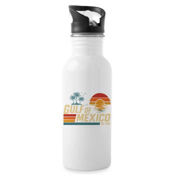 Gulf Of Mexico 1550 Sarcastic History Humor - Water bottle with straw - white - Right