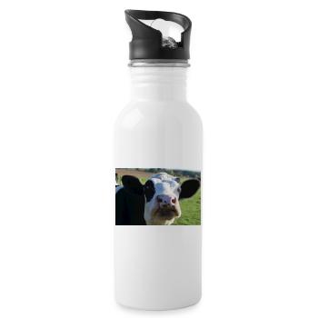 Cow Poster - Water bottle with straw - white - Right