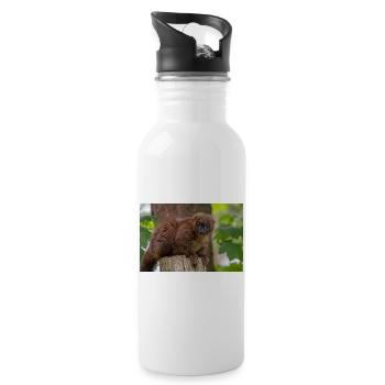 Red Titi Monkey - Water bottle with straw - white - Right