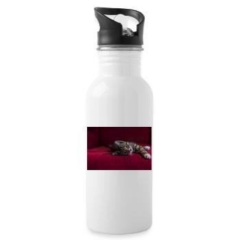 Cute tabby baby cat, lying, photography - Water bottle with straw - white - Right