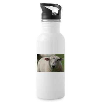 Close-up of a sheep - Water bottle with straw - white - Right
