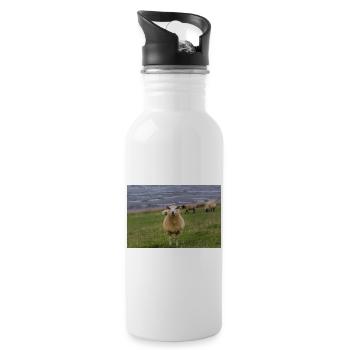 Moutons sur la digue sur la côte - Gourde avec paille intégrée - blanc - Droite