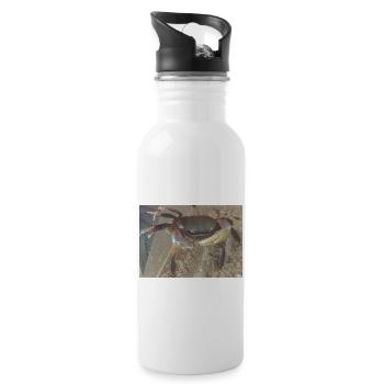 Mr Crab the Crab - Water bottle with straw - white - Right