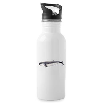 sperme pygmée cachalot pygmée baleine Kogia breviceps - Gourde avec paille intégrée - blanc - Droite
