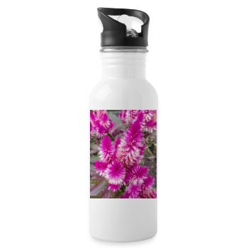 Cockscomb auch Silver Cock's Celosia - Trinkflasche mit integriertem Trinkhalm - Weiß - Rechts