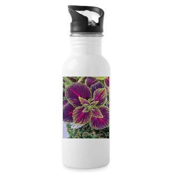 Josephs Mantel auch chinesischer Amaranth - Trinkflasche mit integriertem Trinkhalm - Weiß - Rechts