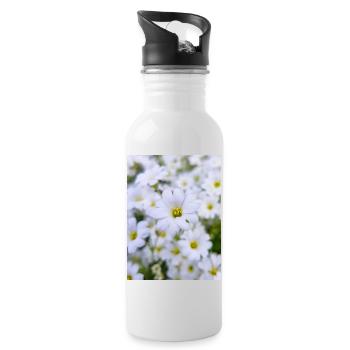 neige en été aussi chardon laineux Hornkraut - Gourde avec paille intégrée - blanc - Droite