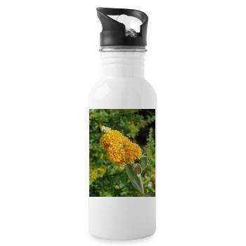 buddleia, butterfly bush or summer lilac 'Sungold' - Water bottle with straw - white - Right