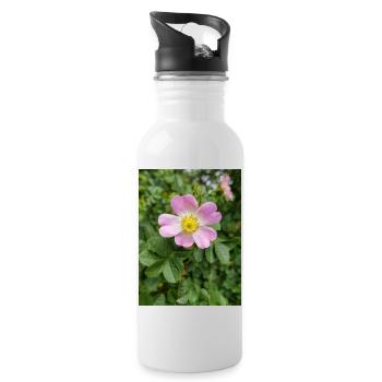 bruyère douce aussi églantine rose Weinrose - Gourde avec paille intégrée - blanc - Droite