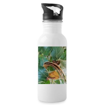 Coccinelle dans feuilles - Gourde avec paille intégrée - blanc - Droite