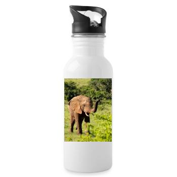 Éléphant - Gourde avec paille intégrée - blanc - Droite
