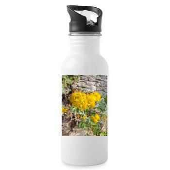 Jacobaea maritima aussi séneçon argenté Greiskraut - Gourde avec paille intégrée - blanc - Droite