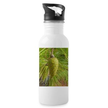 Aleppo pine also Jerusalem pine Aleppo-Kiefer - Water bottle with straw - white - Right
